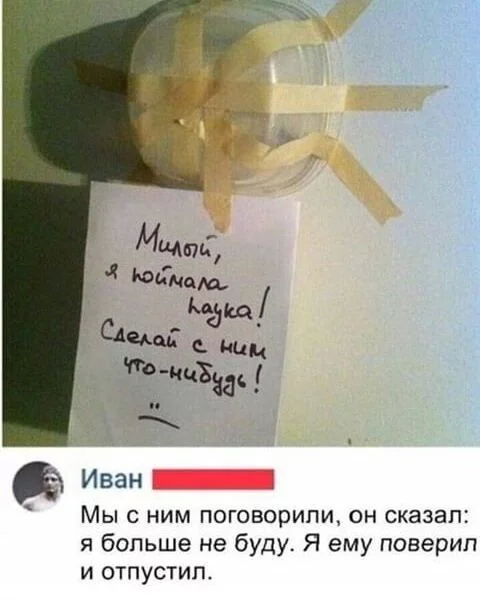 смешные комментария из соцсети