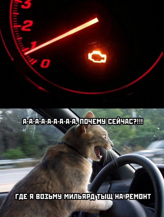 мемы и картинки