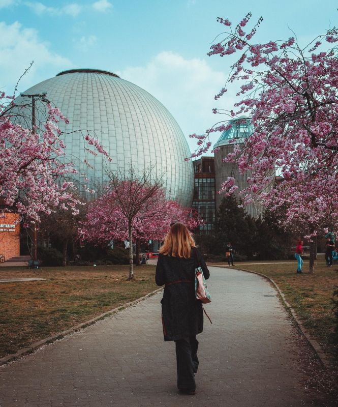 позитивные картинки для настроения