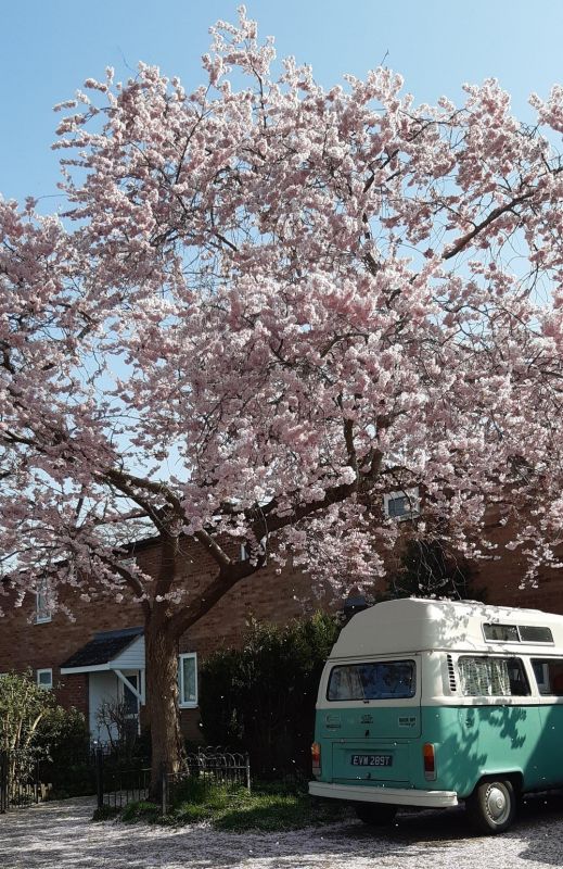 позитивные картинки для настроения