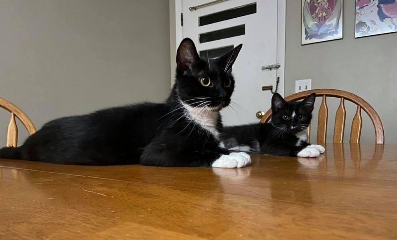 позитивные картинки для настроения