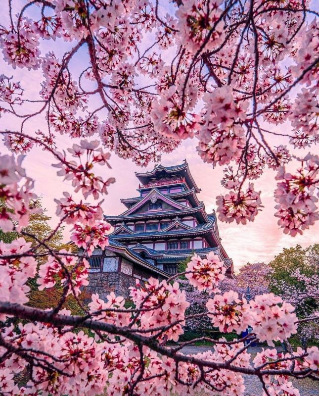 позитивные картинки для настроения