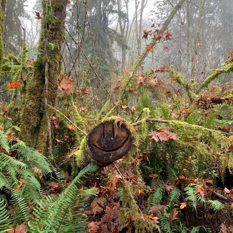 позитивные картинки для настроения