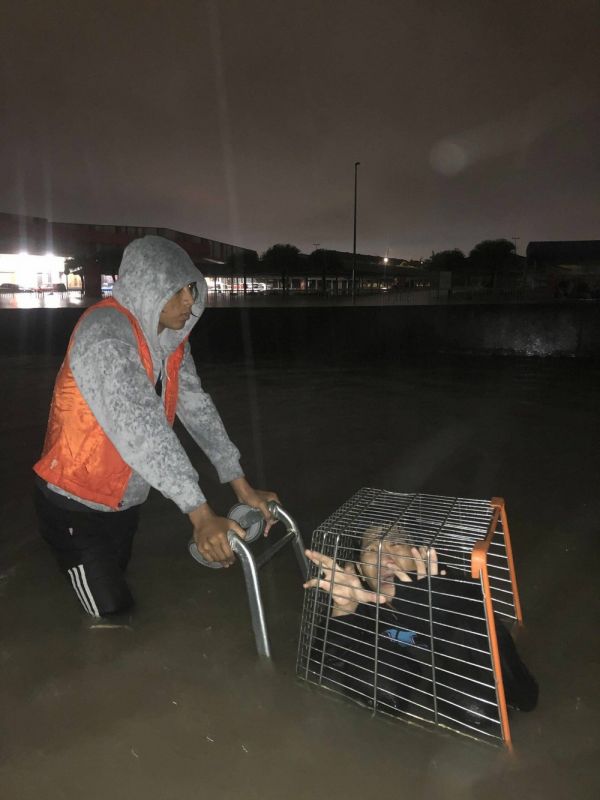 позитивные картинки для настроения