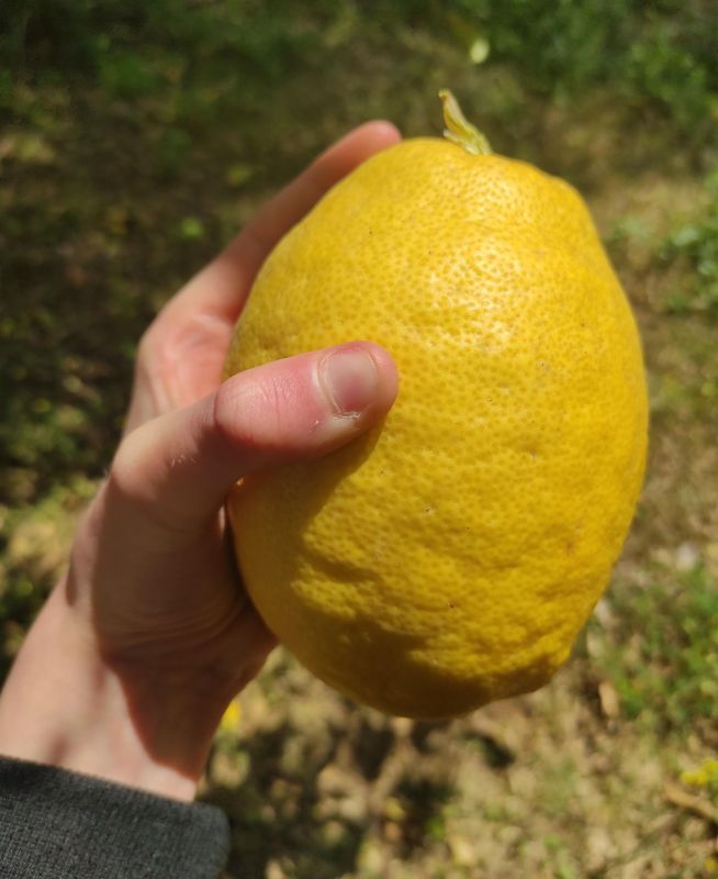 позитивные картинки для настроения