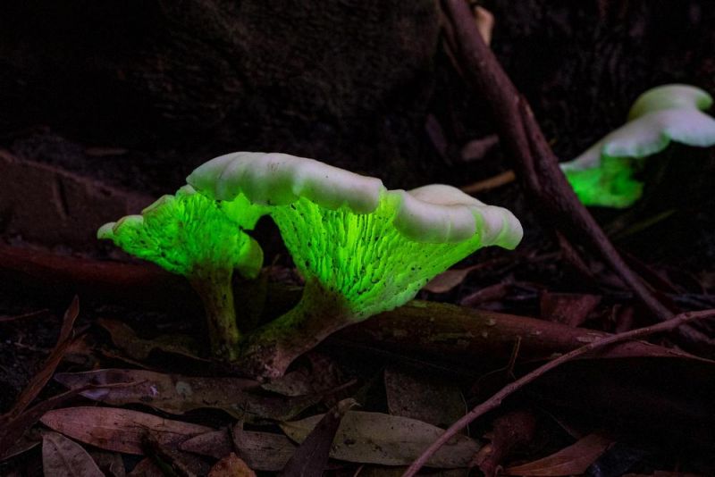 позитивные картинки для настроения