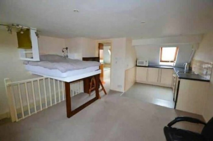 смешные картинки и фото приколы