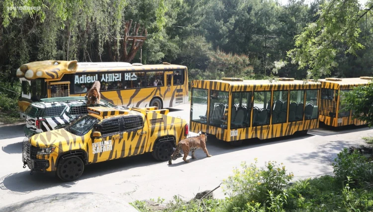 позитивные картинки dosuga.net