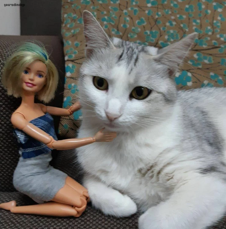 позитивные картинки dosuga.net