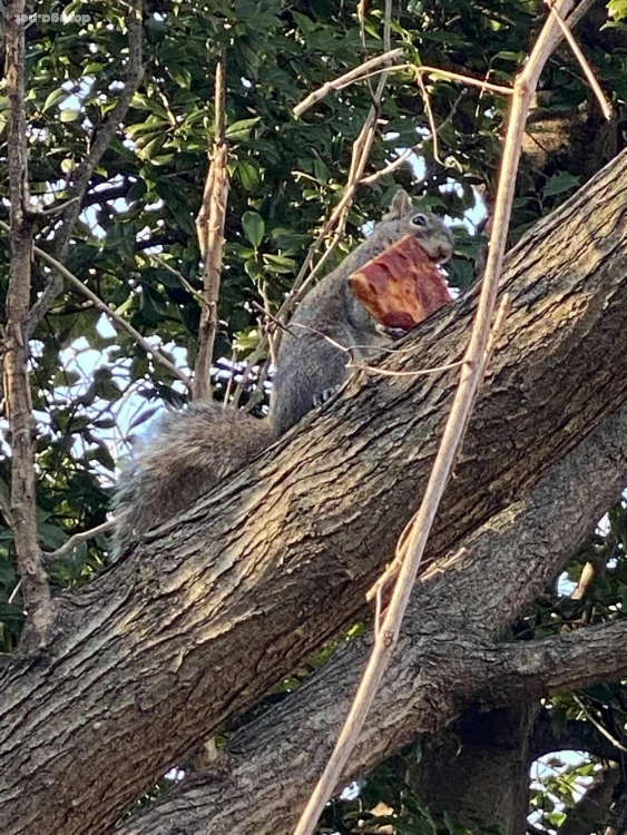 позитивные картинки dosuga.net