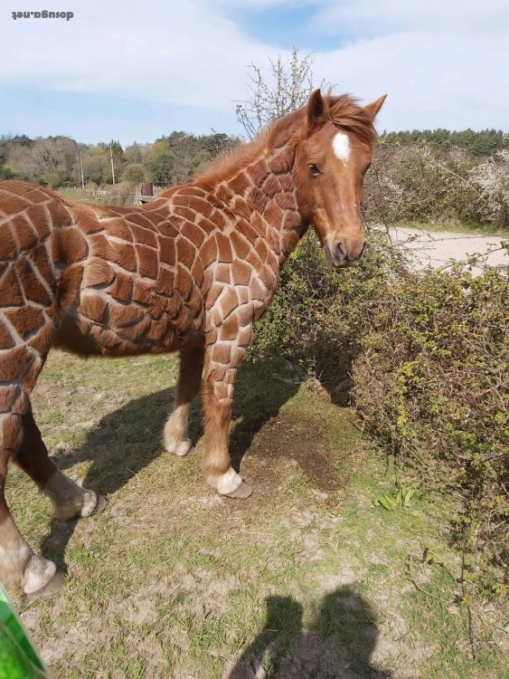 позитивные картинки dosuga.net