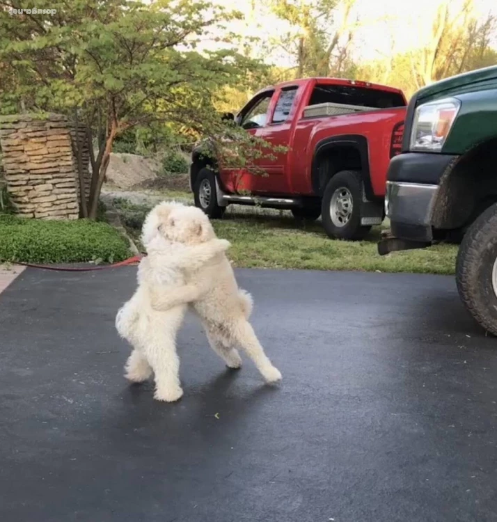 позитивные картинки dosuga.net