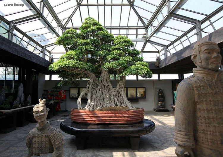 позитивные картинки dosuga.net