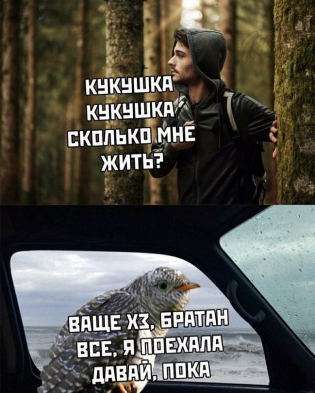 злобные картинки мемы