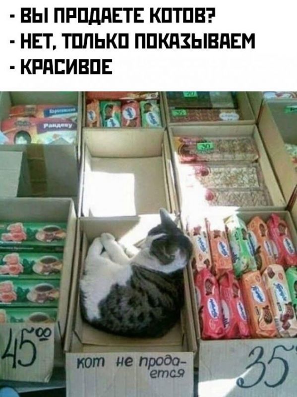 злобные картинки мемы