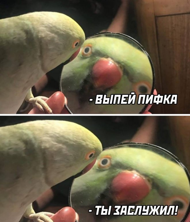 злобные картинки мемы