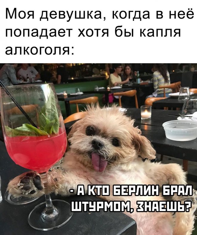 злобные картинки мемы