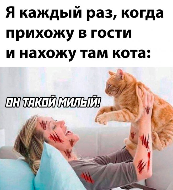 злобные картинки мемы