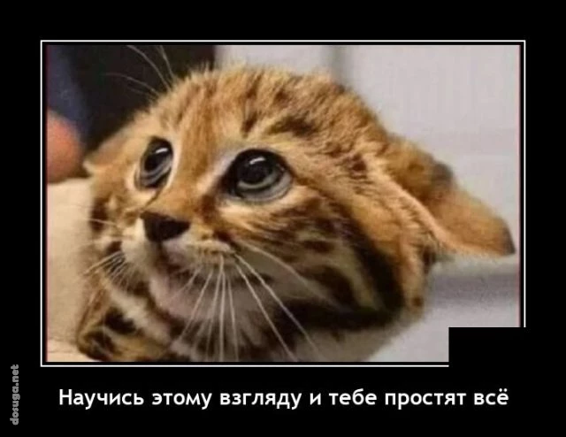 демотиваторы dosuga.net