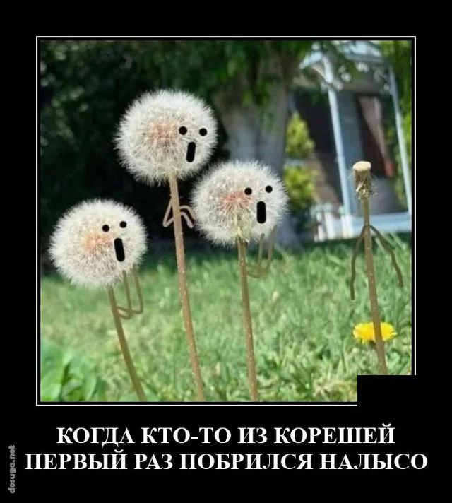 демотиваторы dosuga.net