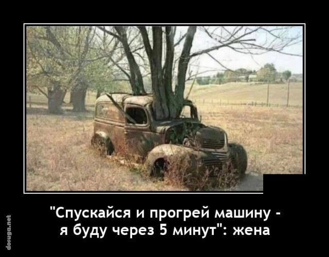 демотиваторы dosuga.net