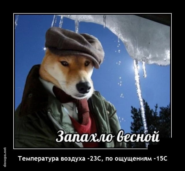 демотиваторы dosuga.net