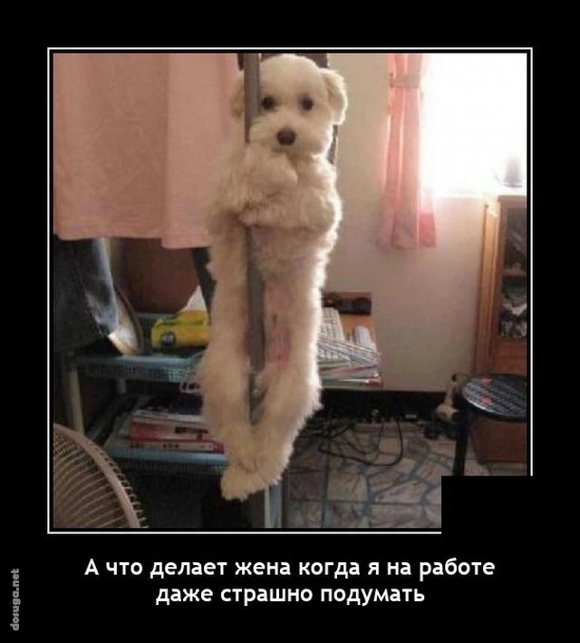 демотиваторы dosuga.net