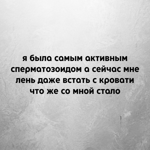 смешные картинки с надписями
