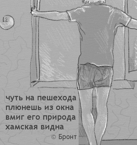 смешные картинки с надписями