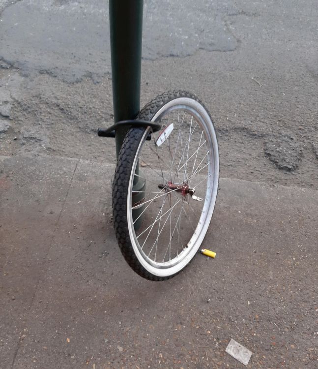 фото приколы на досуга нет