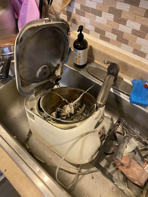 фото приколы на досуга нет