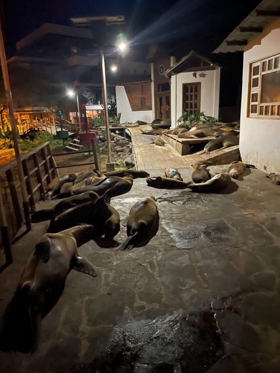 фото приколы на досуга нет