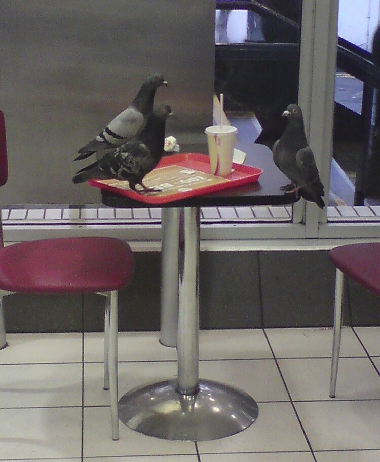 юмор и позитив