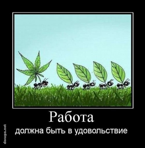 прикольная картинка про 1 мая