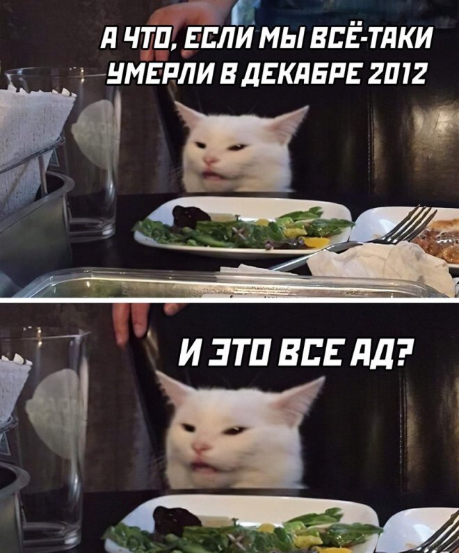 мемы с надписями