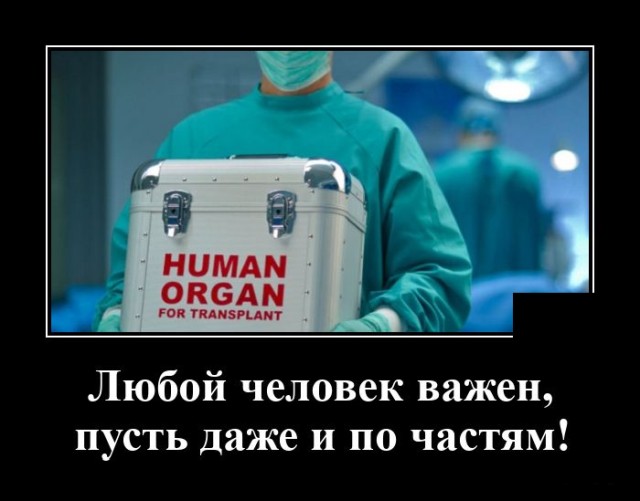 демотиватор на досуга.нет