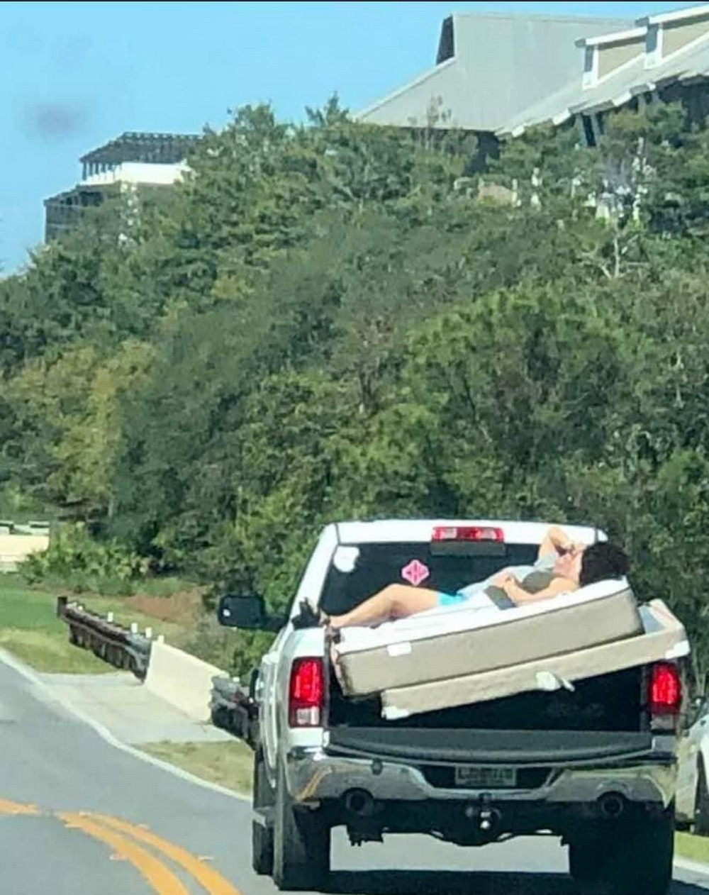 веселые картинки