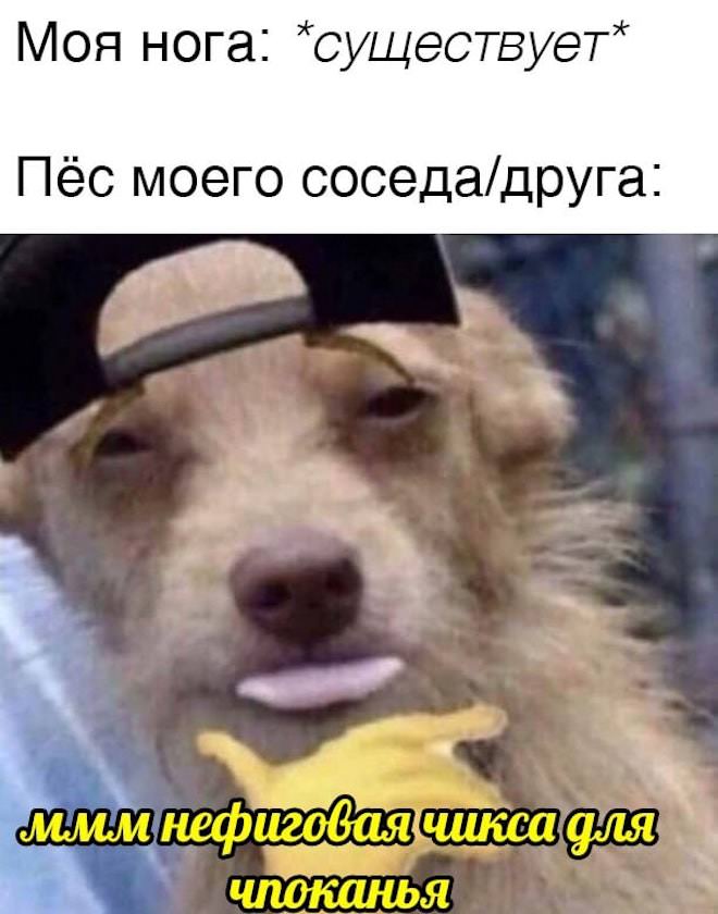 прикольные мемы