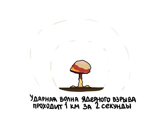 факты в картинках