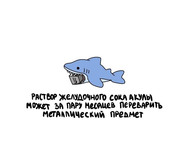 факты в картинках