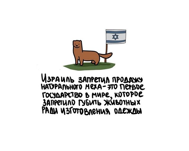 факты в картинках