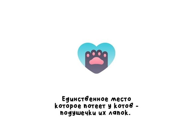 факты в картинках