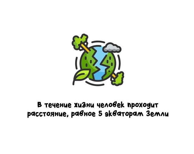 факты в картинках