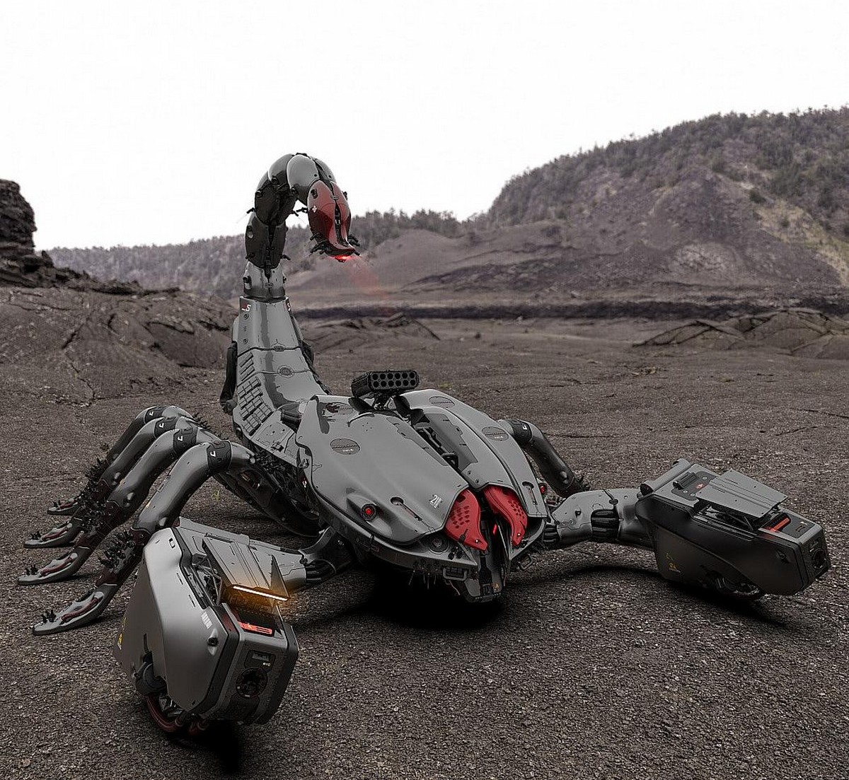 позитив и юмор