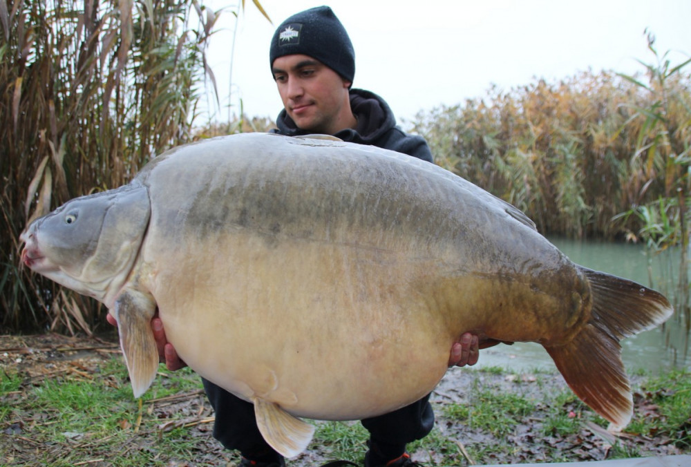 позитив и прикол