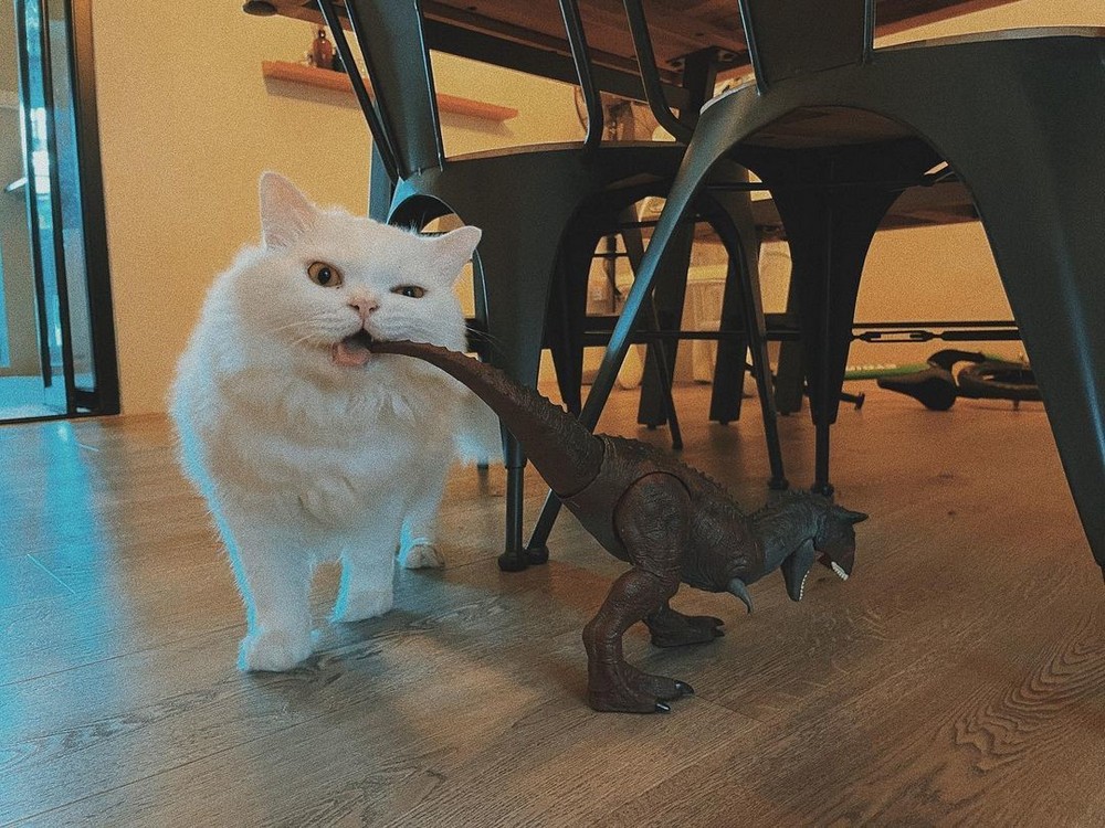 dosuga.net позитив