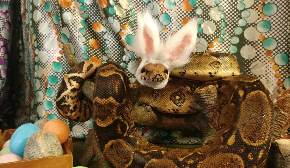 dosuga.net позитив