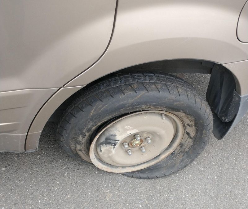 приколы и злой юмор на досуге