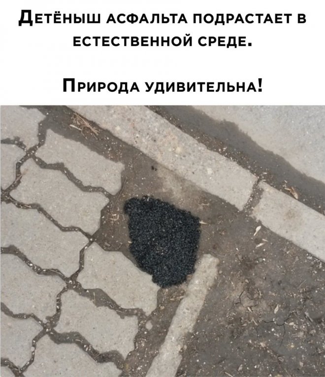 прикольные мемы