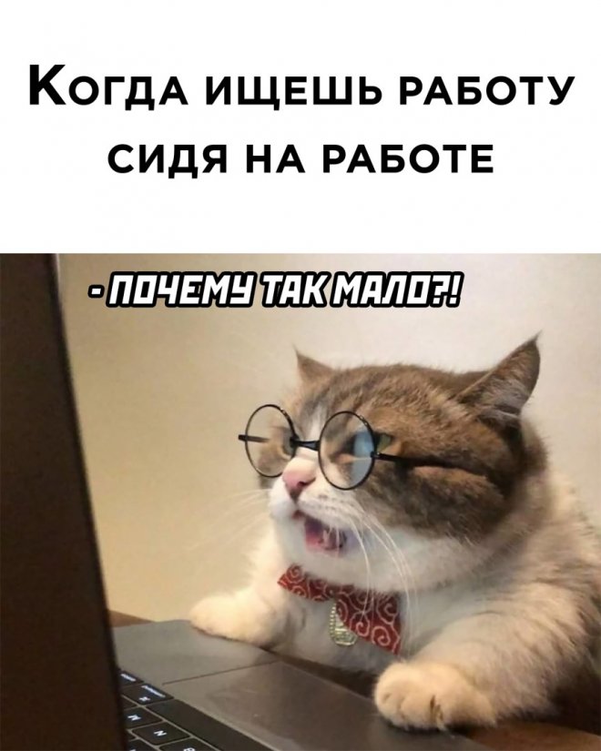 прикольные мемы